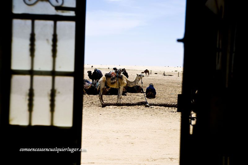 que hacer en tunez desierto de tozeur_foto_miguel angel munoz romero_003