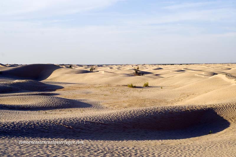 que hacer en tunez desierto de tozeur_foto_miguel angel munoz romero_005