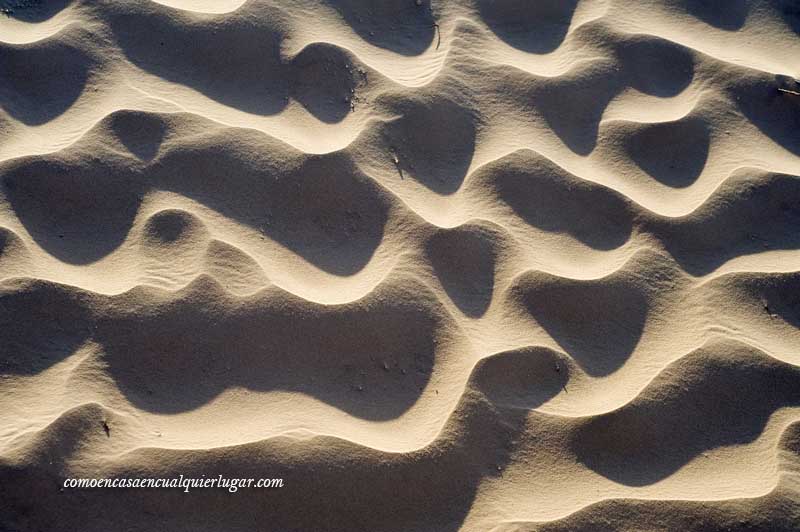 que hacer en tunez desierto de tozeur_foto_miguel angel munoz romero_011