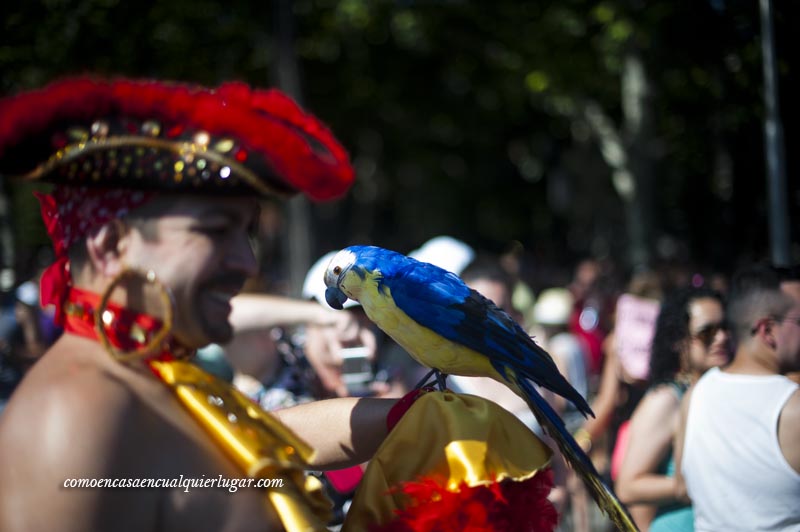 Fotos de la Fiestas del Orgullo Gay en Madrid