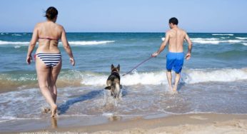 Playa Can Gandía