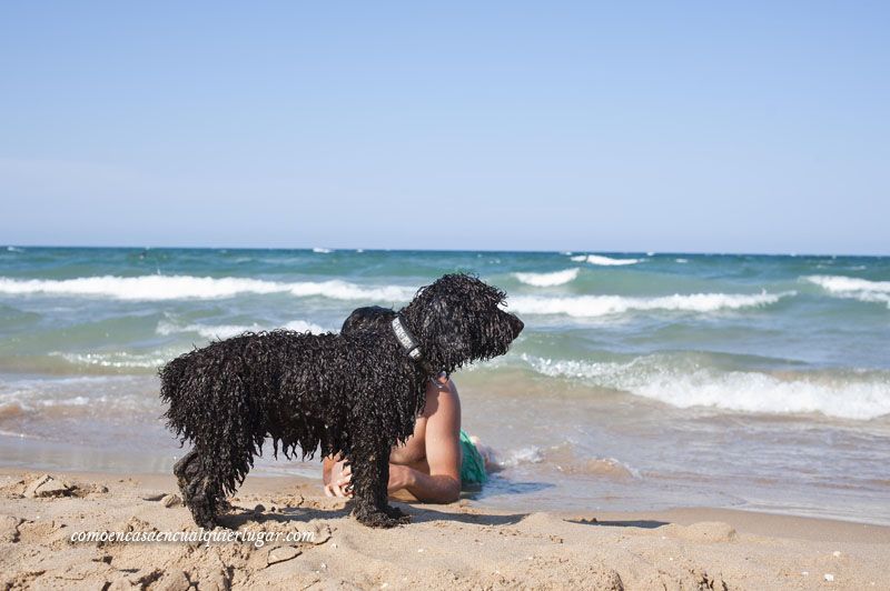 Playa Can Gandía