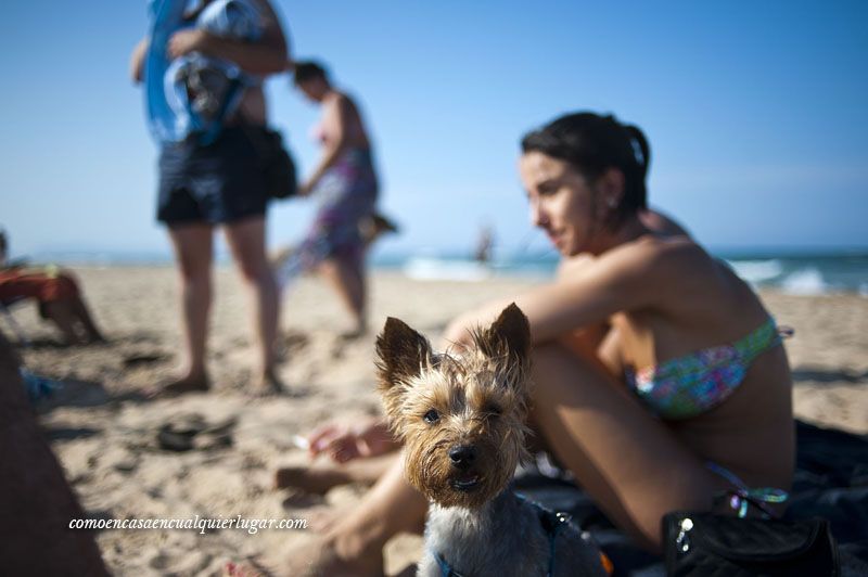 Playa Can Gandía