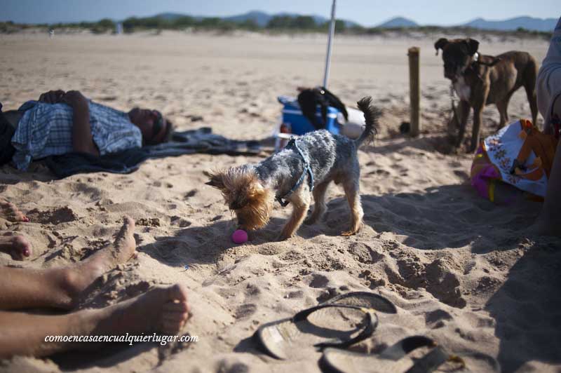 Playa Can Gandía