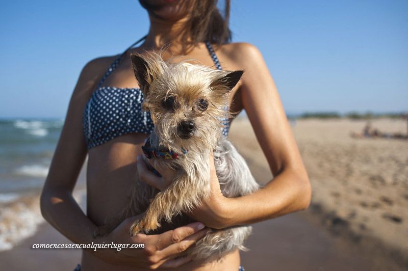 Playa Can Gandía