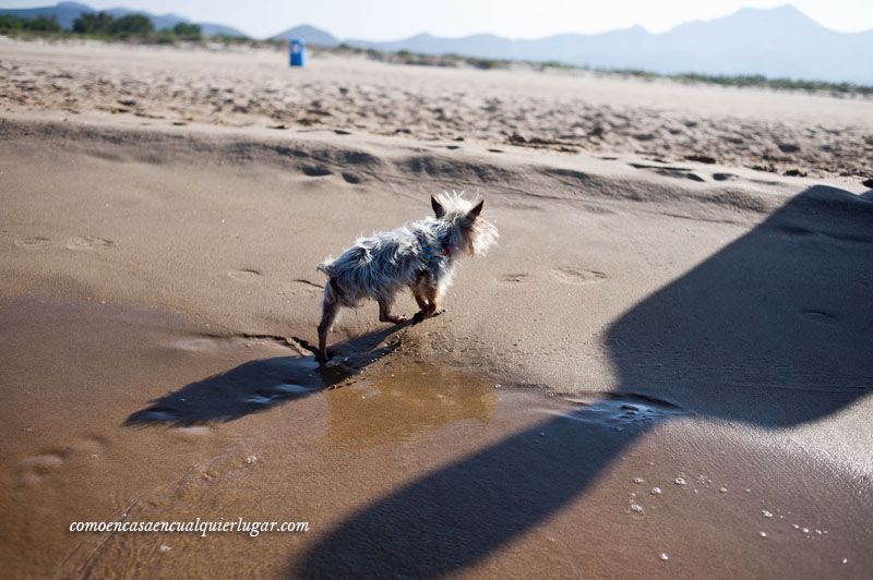 Playa Can Gandía