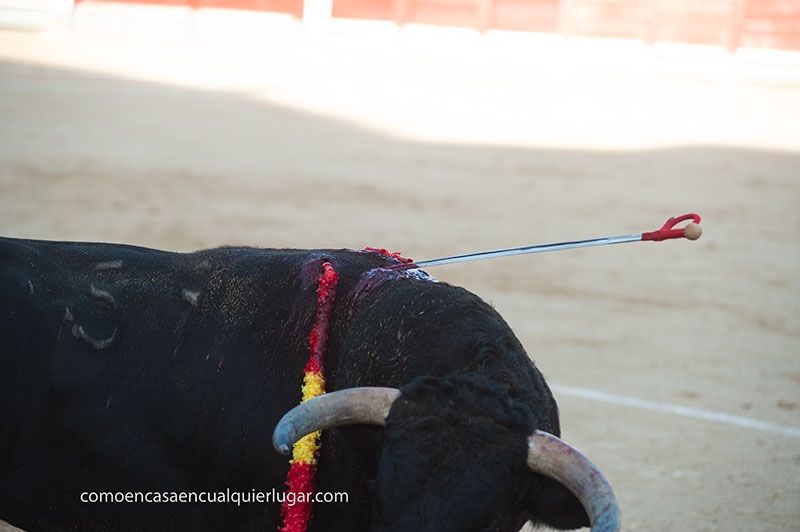 El festival taurino más antiguo de españa chinchon_Foto_Miguel Angel Munoz Romero_0014