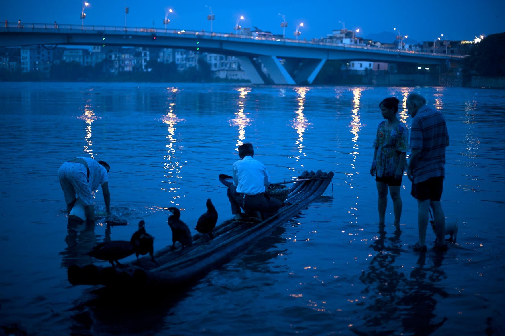 Pesca con cormoránes, pesca nocturna, Guilin, China