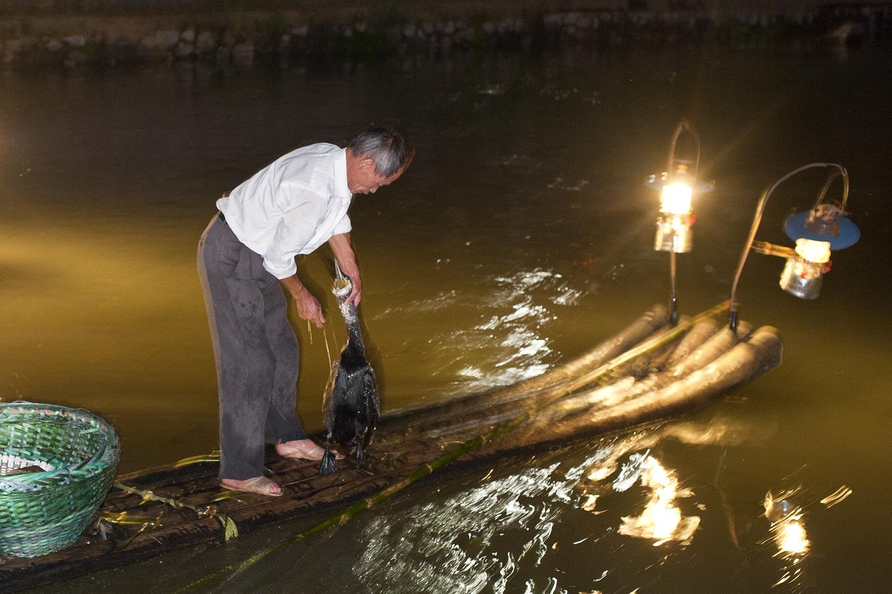 Pesca con cormoránes, pesca nocturna, Guilin, China