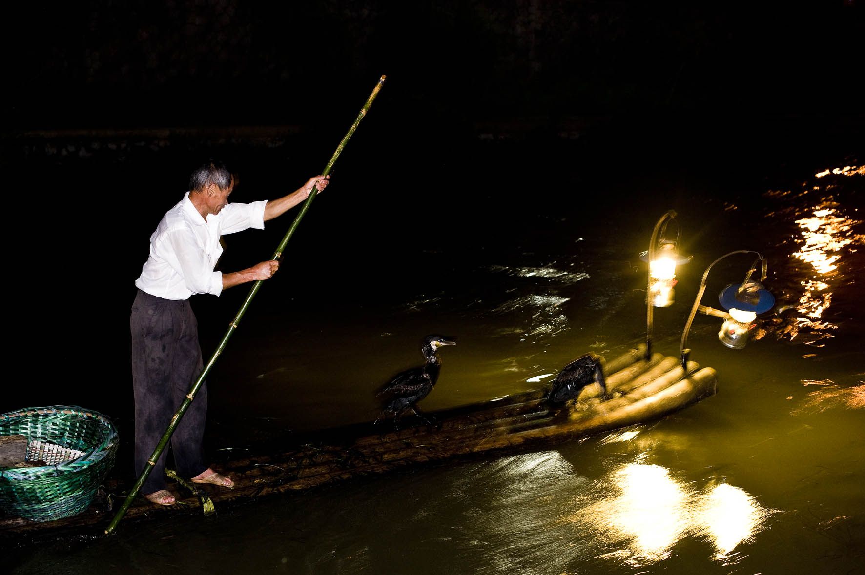 Pesca con cormoránes, pesca nocturna, Guilin, China