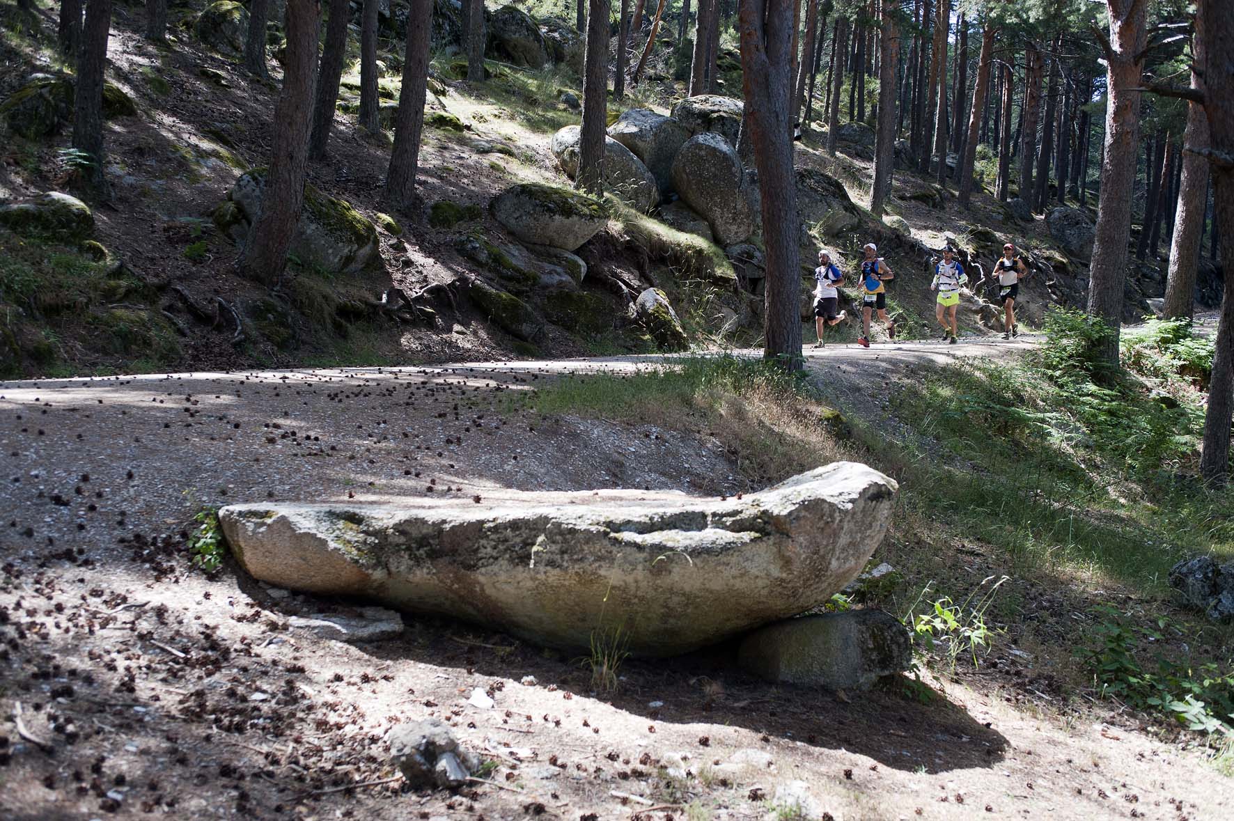 Oxfam Trailwalker Madrid 2014 Valle de Lozolla Sierra Guadarrama