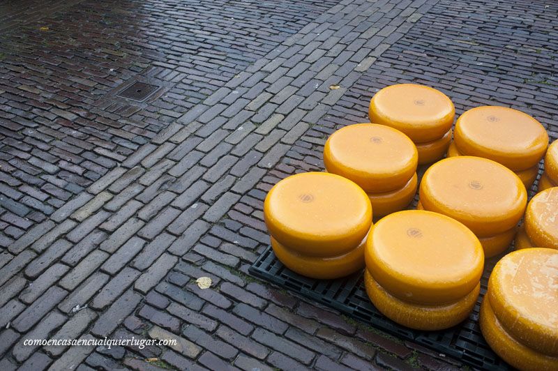 Mercado del queso de Alkmaar Holanda