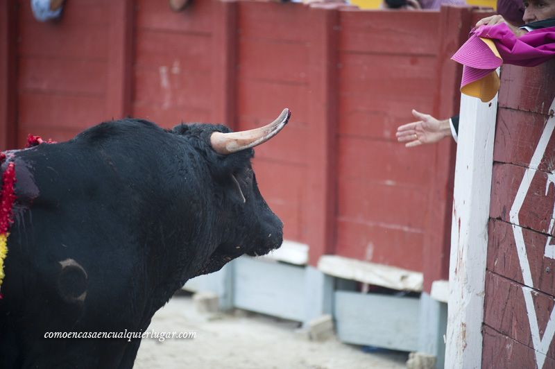 Corrida benefica de chinchón 2014