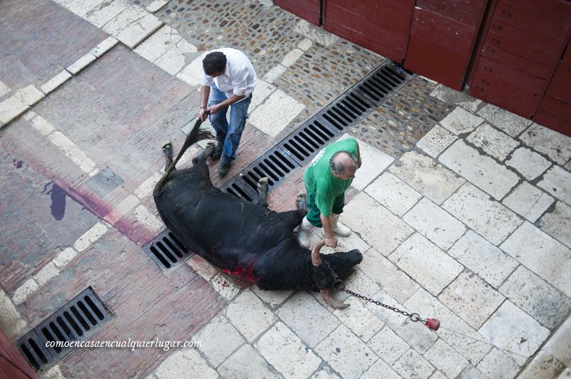 Corrida benefica de chinchón 2014