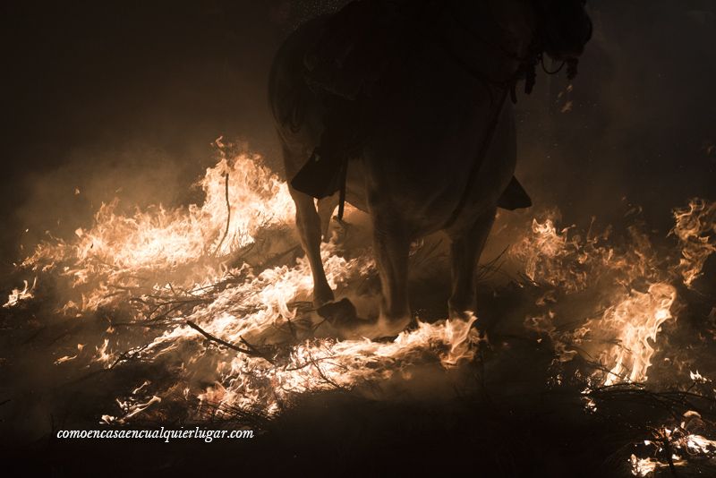 caballo fuego luminarias