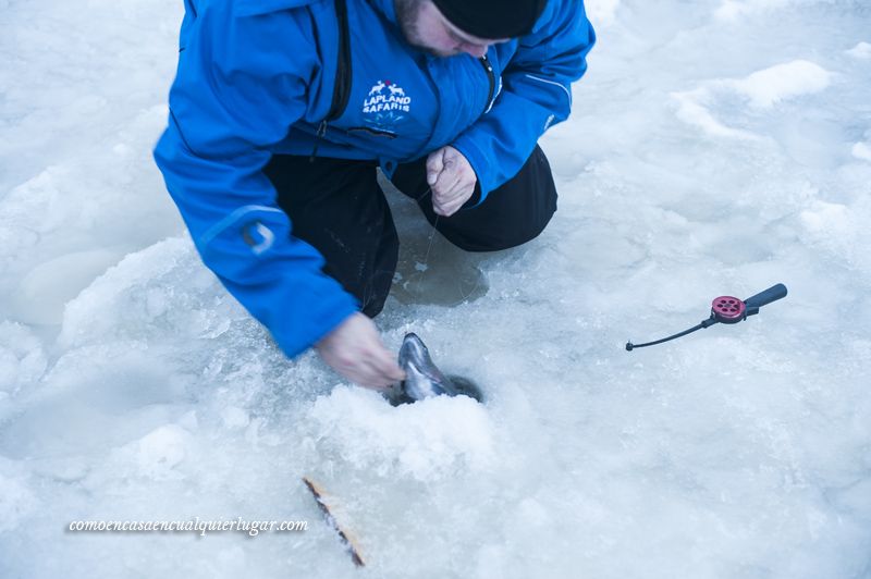 pesca en el hielo que hacer en rovaniemi