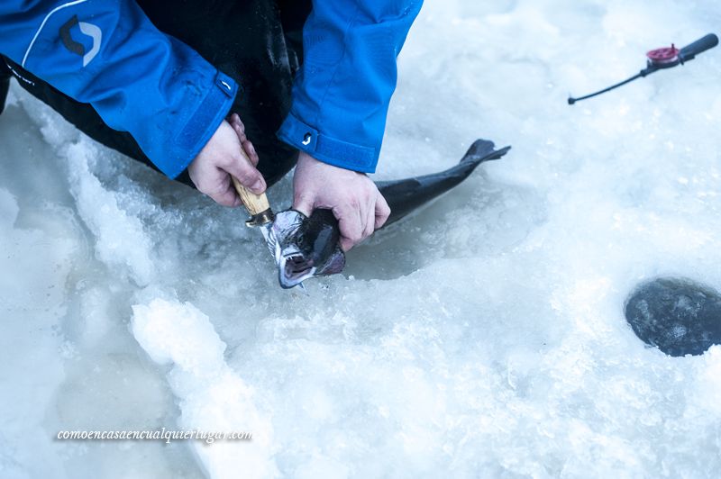 pesca en el hielo que hacer en rovaniemi