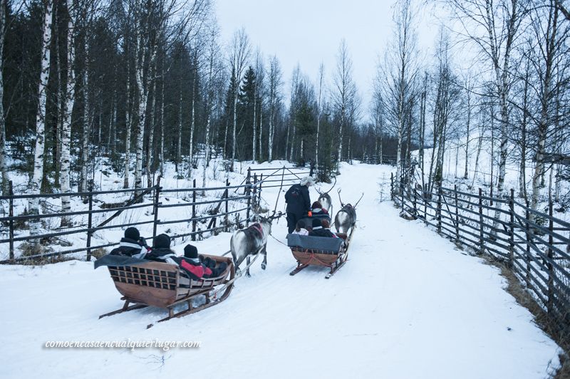 excursiones en Rovaniemi Finlandia granja de renos