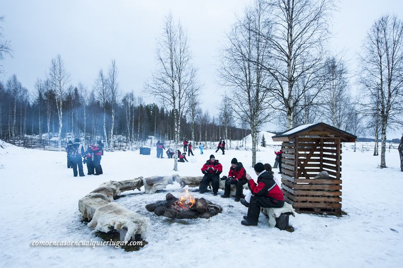 excursiones en Rovaniemi Finlandia granja de renos