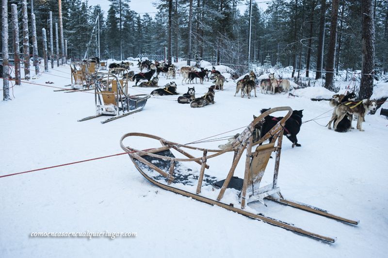 excursiones en Rovaniemi Finlandia Santa claus village