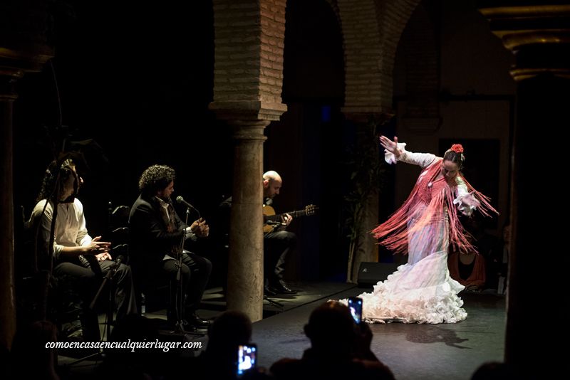 Visita al Museo del baile flamenco de Cristina Hoyos