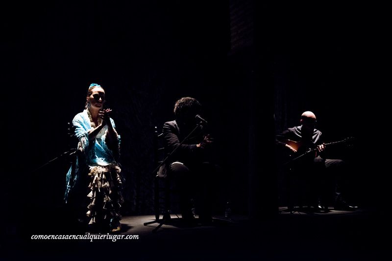 Visita al Museo del baile flamenco de Cristina Hoyos