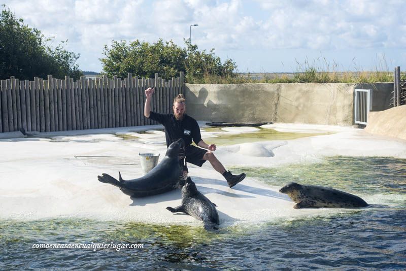 el hombre encuentra el mar en Esbjerg Dinamarca Svend Wiig museo marítimo y de la pesca Esbjerg_Dinamarca _foto_Miguel Angel Munoz Romero_001