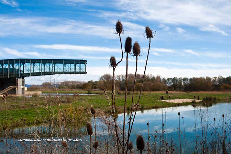 Altaria parque de Salburua Vitoria Gasteiz que hacer