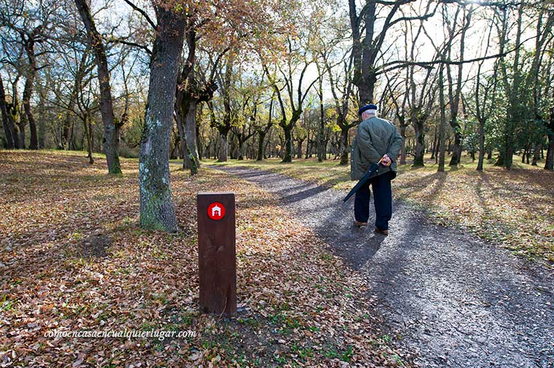 Qué ver en Vitoria Gasteiz anillo verde