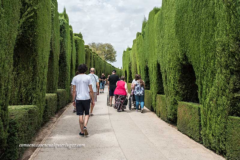 Alhambra jardines