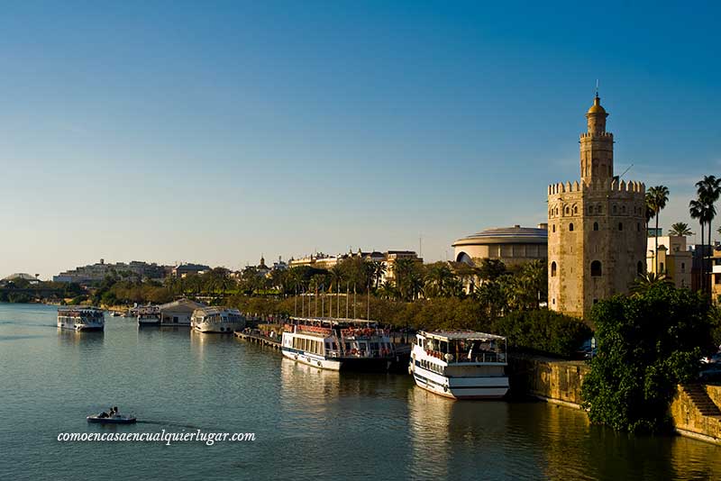 semana santa en sevilla torre del oro