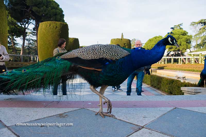 Parque del Retiro