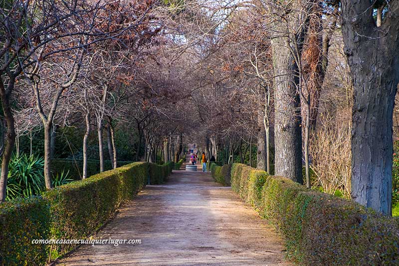 Qué hacer y qué ver en el parque del Retiro