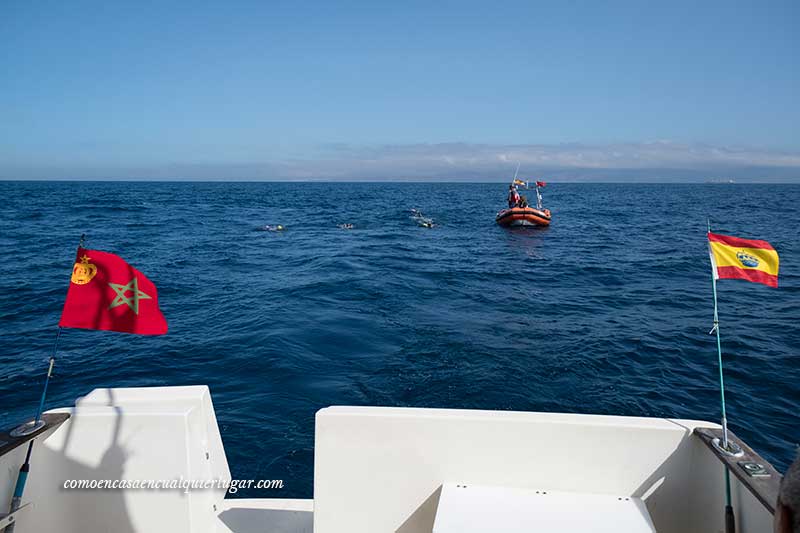 Cruzar el estrecho de Gibraltar a nado