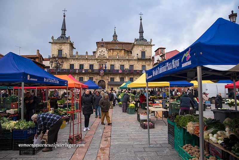 Plaza Mayor León