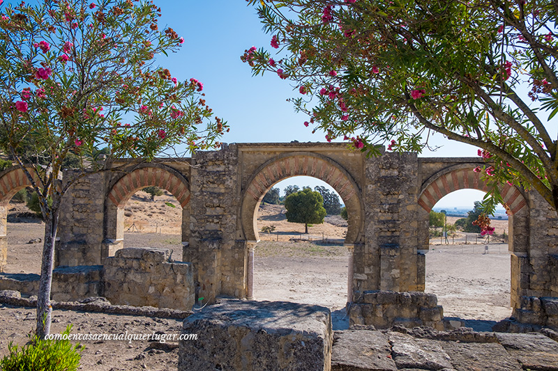 Visita Medina Azahara