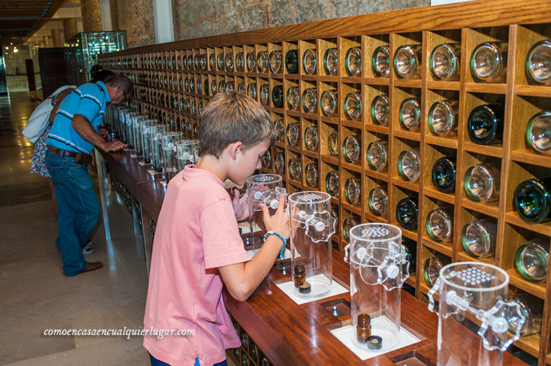 Imagen, un pasillo donde hay recipientes de metacrilato con distintos olores y un niño esta oliendo en uno de ellos. museo provincial del vino en Valladolid