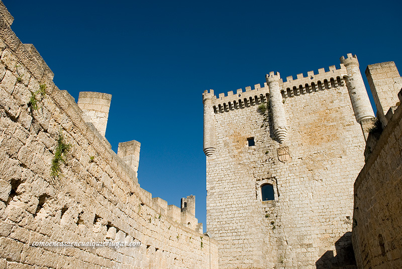Imagen de Castillo desde el interior mirando hacia arriba, con un cielo azul intenso. Se puede apreciar el torreón. 