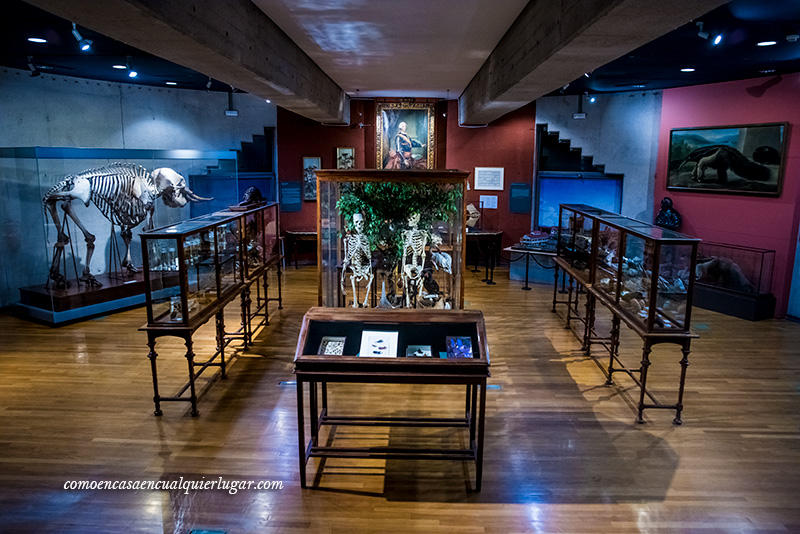 Museo Nacional de Ciencias Naturales de Madrid