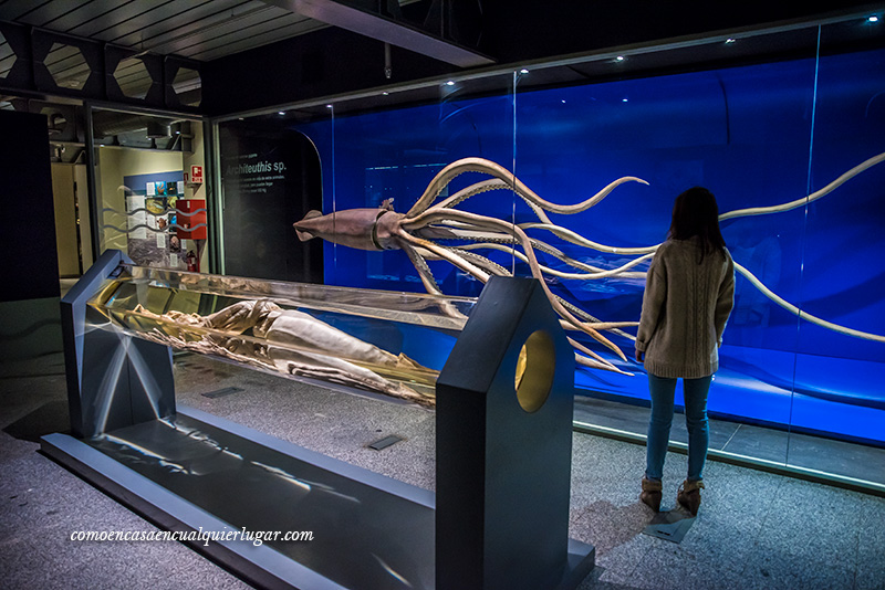 Museo Nacional de Ciencias Naturales de Madrid