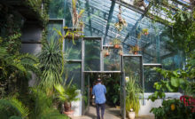 oasis en Madrid jardín botanico