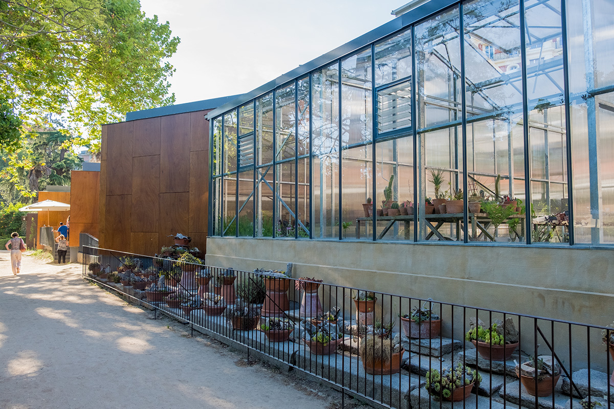 oasis en Madrid, jardín botánico